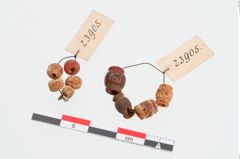 Foto von Perlenkette (NHMW-PRAE-023905)
